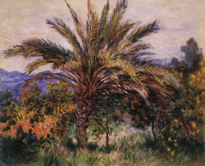 Claude Monet A Palm Tree at Bordighera Norge oil painting art